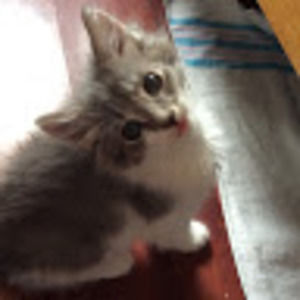 Meet your Posher, Christine